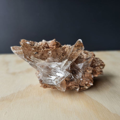 A Grade Selenite Specimen | Naica Lightkeeper
