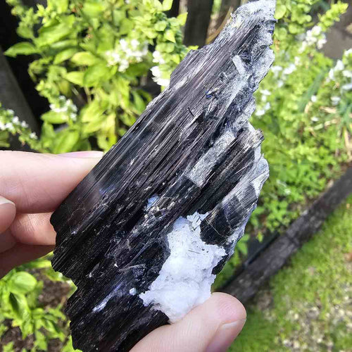 Aegirine Specimen | Cavern Of Clarity