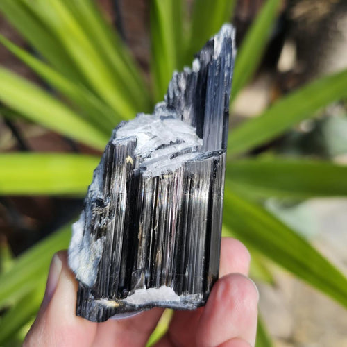 Aegirine Specimen | Cavern Of Clarity