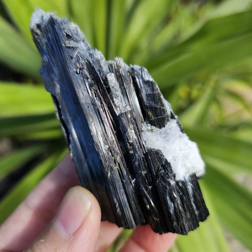 Aegirine Specimen | Cavern Of Clarity