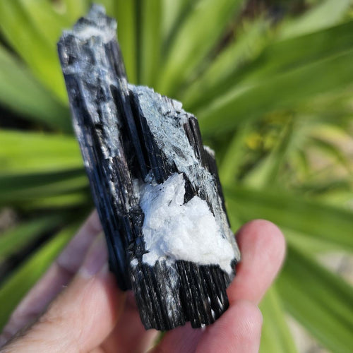 Aegirine Specimen | Cavern Of Clarity