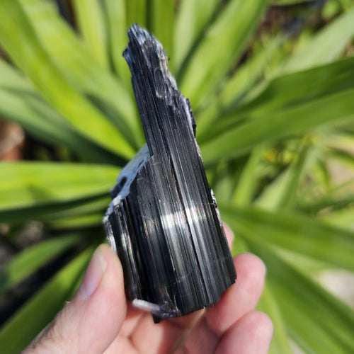 Aegirine Specimen | Cavern Of Clarity