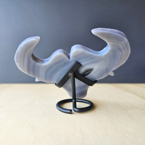 Agate Bull Head | The Mystic Charge