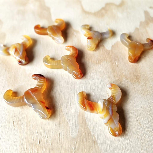 Agate Bull Heads | Sacred Strength