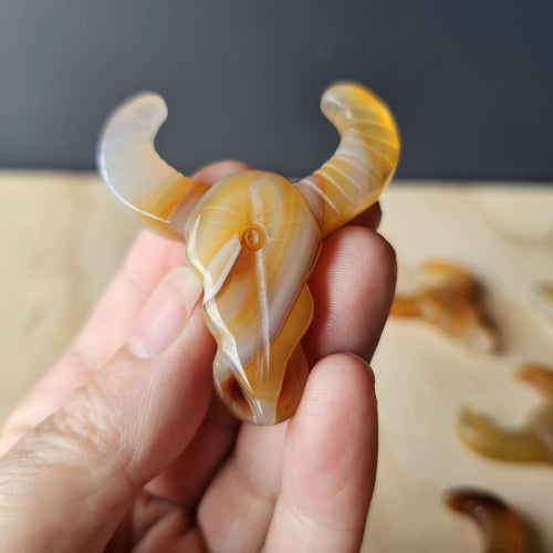 Agate Bull Heads | Sacred Strength