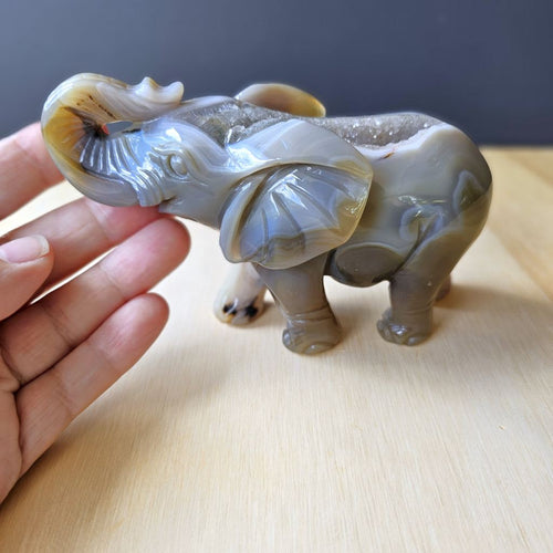 Agate Elephant Carving | 525gm