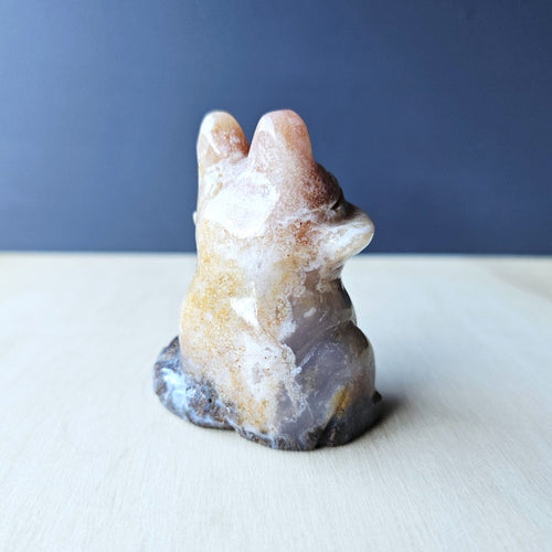 Agate Fox | Belladonna