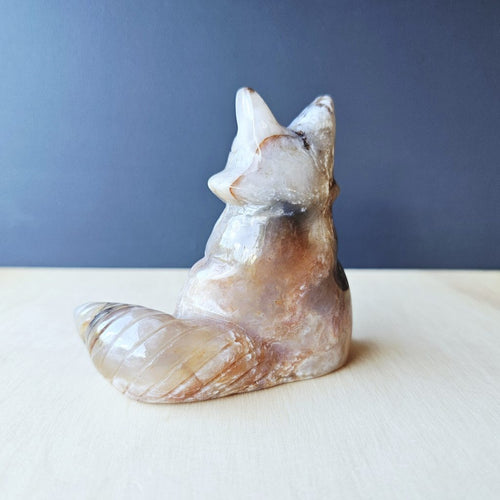 Agate Fox | Harmony