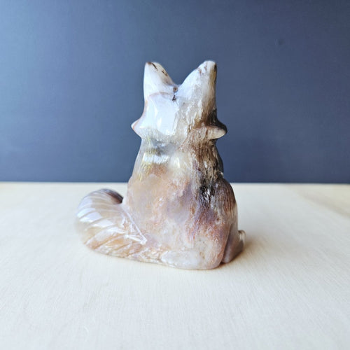 Agate Fox | Harmony