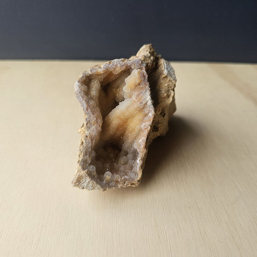 Agatised Coral Specimen | Tampa Drift 252gm