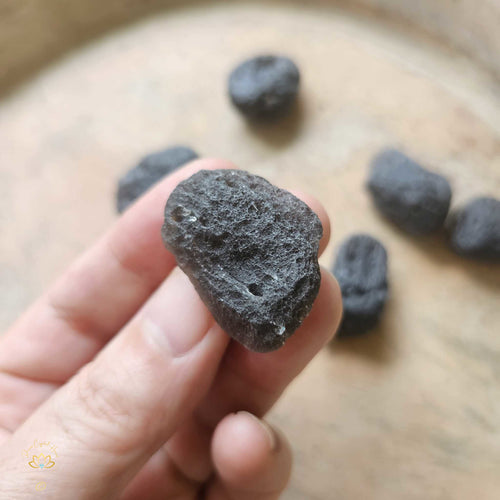 Agni Manitite | 12-14gms