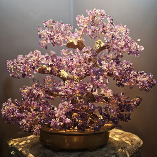 Amethyst Crystal Bonsai | Purification