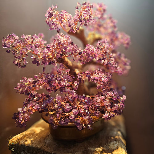 Amethyst Crystal Bonsai | Purification