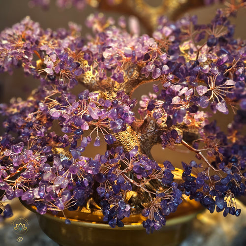 Amethyst Crystal Bonsai | Purification
