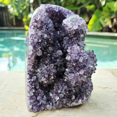 Amethyst Geode With Amethyst Flowers | Brazil