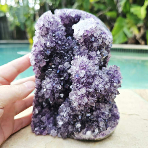 Amethyst Geode With Amethyst Flowers | Brazil