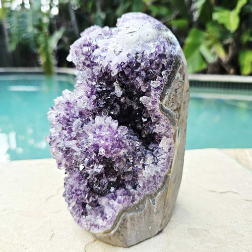 Amethyst Geode With Amethyst Flowers | Brazil