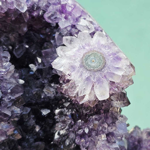 Amethyst Geode With Amethyst Flowers | Brazil