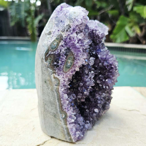 Amethyst Geode With Amethyst Flowers | Brazil