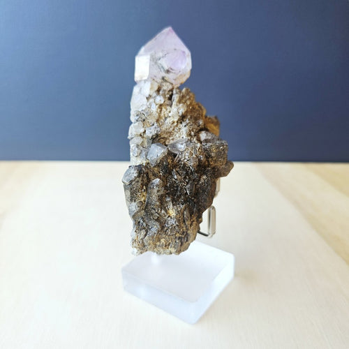Amethyst Sceptre with Mica Matrix | Crowned in Amethyst