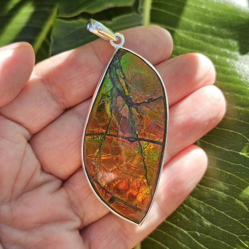 Ammolite Pendant | The Ancient Spectrum
