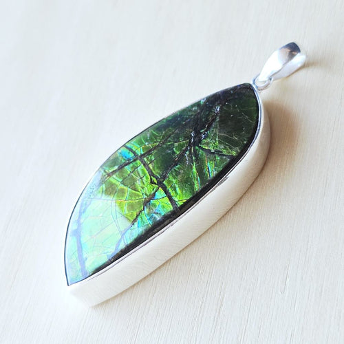 Ammolite Pendant | The Ancient Spectrum