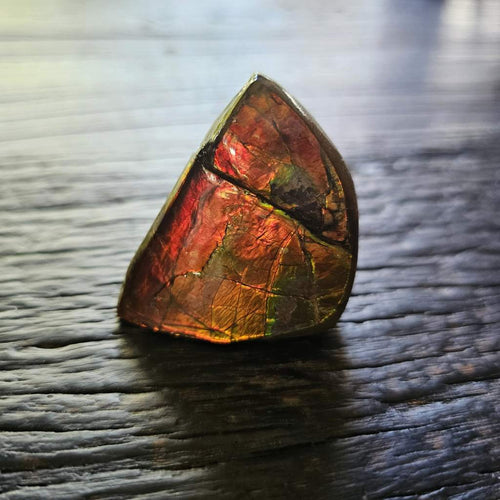 Ammolite | Radiant Light 69gms