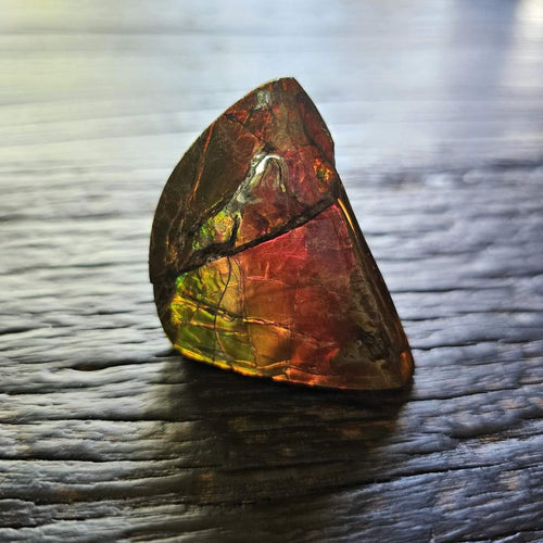 Ammolite | Radiant Light 69gms