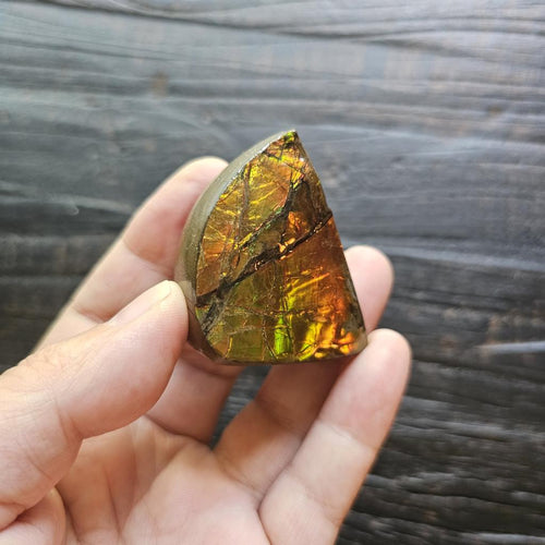 Ammolite | Radiant Light 69gms