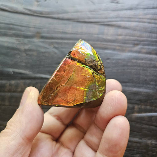 Ammolite | Radiant Light 69gms