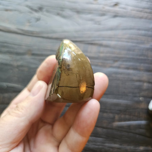 Ammolite | Radiant Light 69gms