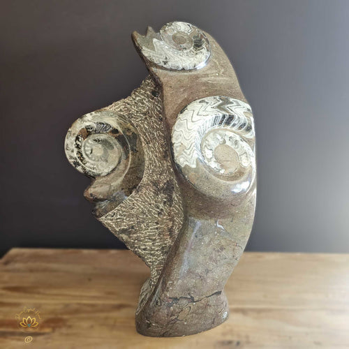 Ammonite On Limestone Sculpture | Times Spiral 19.9kgs