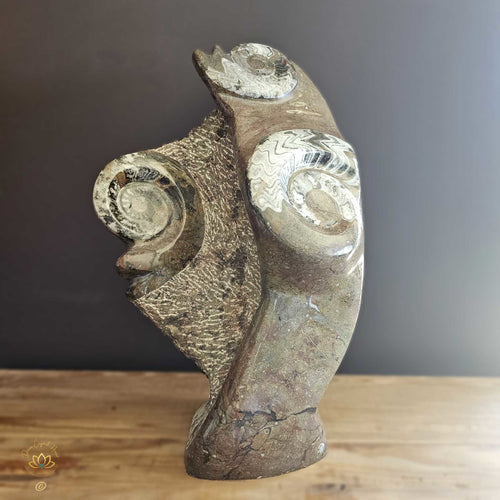 Ammonite On Limestone Sculpture | Times Spiral 19.9kgs