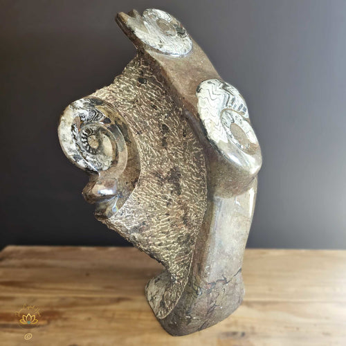 Ammonite On Limestone Sculpture | Times Spiral 19.9kgs