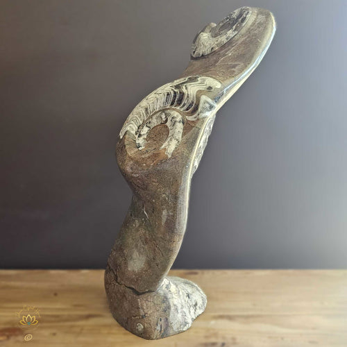 Ammonite On Limestone Sculpture | Times Spiral 19.9kgs