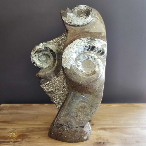 Ammonite On Limestone Sculpture | Times Spiral 19.9kgs