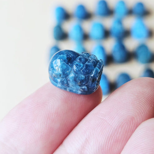 Apatite | Mini Pixiu Traveller