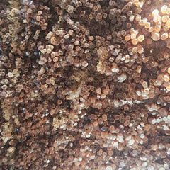Aragonite Sputnik Extra Large Specimen | The Radiant Core