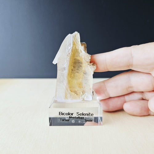 Bi-Colour Selenite Specimen | The Alter Architect 81gms