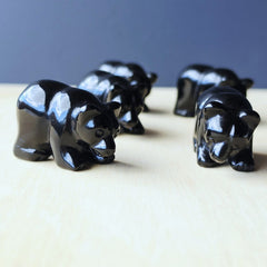 Black Obsidian Bear | Spirit Of The Bear