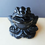 Black Obsidian Money Toad | The Wealth Keeper