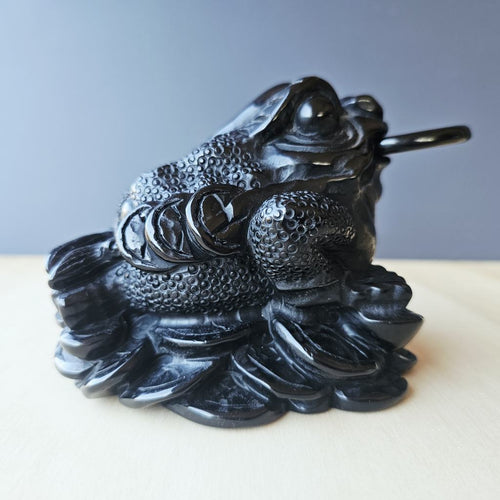 Black Obsidian Money Toad | The Wealth Keeper