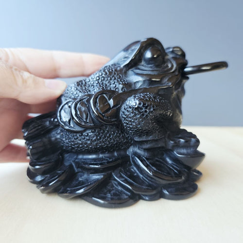 Black Obsidian Money Toad | The Wealth Keeper