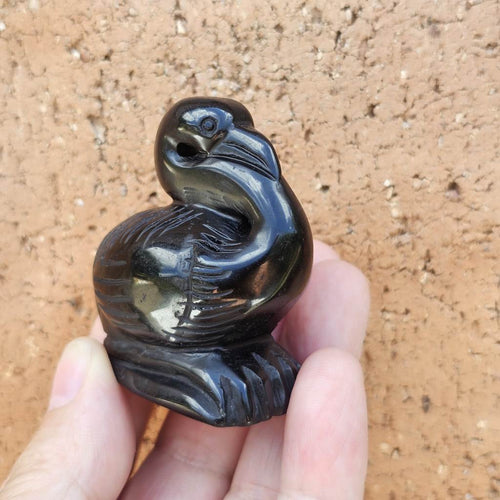 Black Obsidian Pelicans | Midnight Mariner