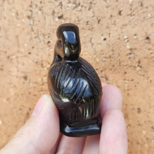 Black Obsidian Pelicans | Midnight Mariner