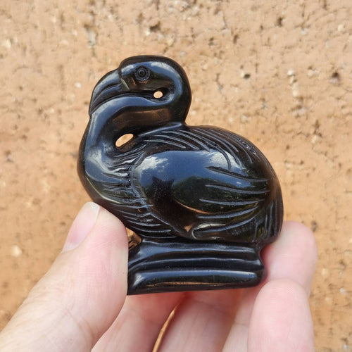 Black Obsidian Pelicans | Midnight Mariner