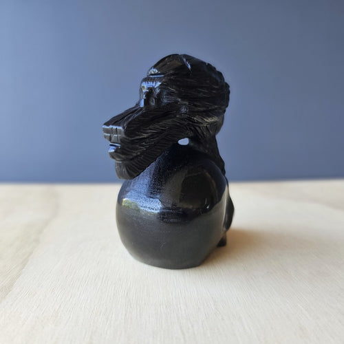 Black Obsidian Raven Skull | Raven Keeper