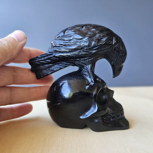 Black Obsidian Raven Skull | Raven Keeper