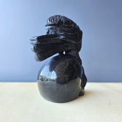 Black Obsidian Raven Skull | The Raven Custodian