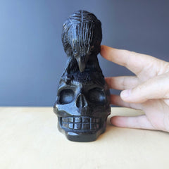 Black Obsidian Raven Skull | The Raven Custodian